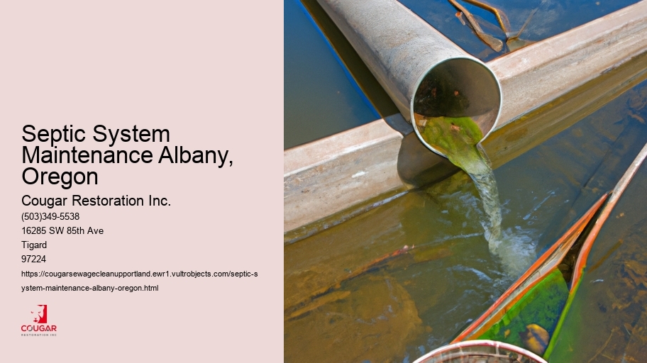 Septic System Maintenance Albany, Oregon
