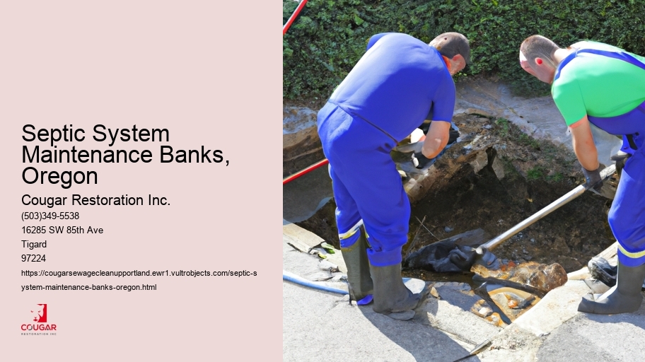 Septic System Maintenance Banks, Oregon