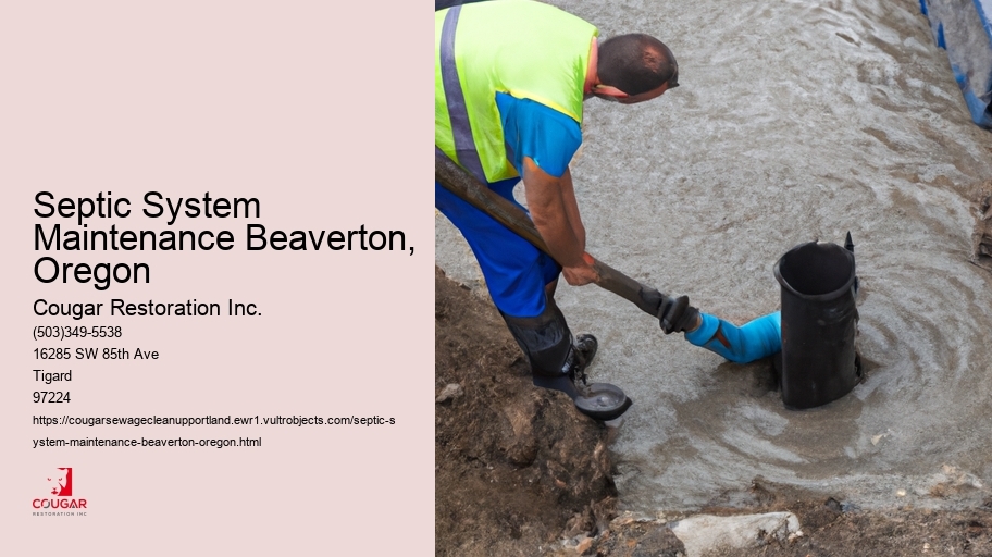 Septic System Maintenance Beaverton, Oregon