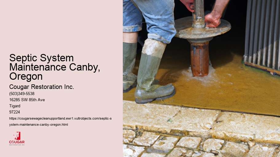 Septic System Maintenance Canby, Oregon
