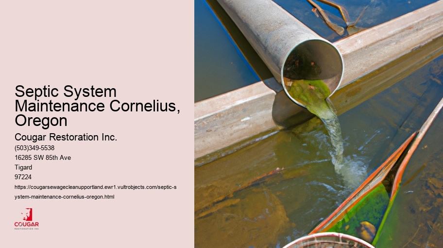Septic System Maintenance Cornelius, Oregon