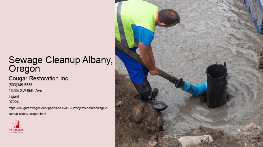 Sewage Cleanup Albany, Oregon