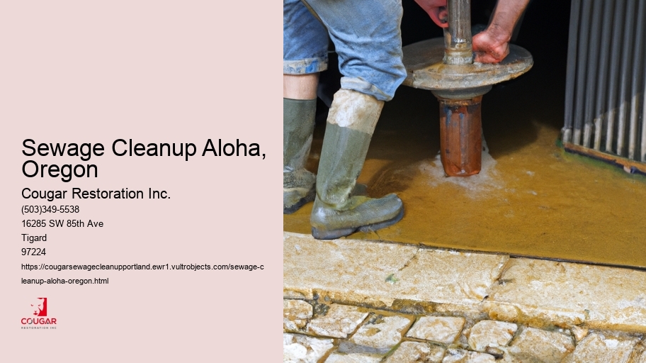 Sewage Cleanup Aloha, Oregon