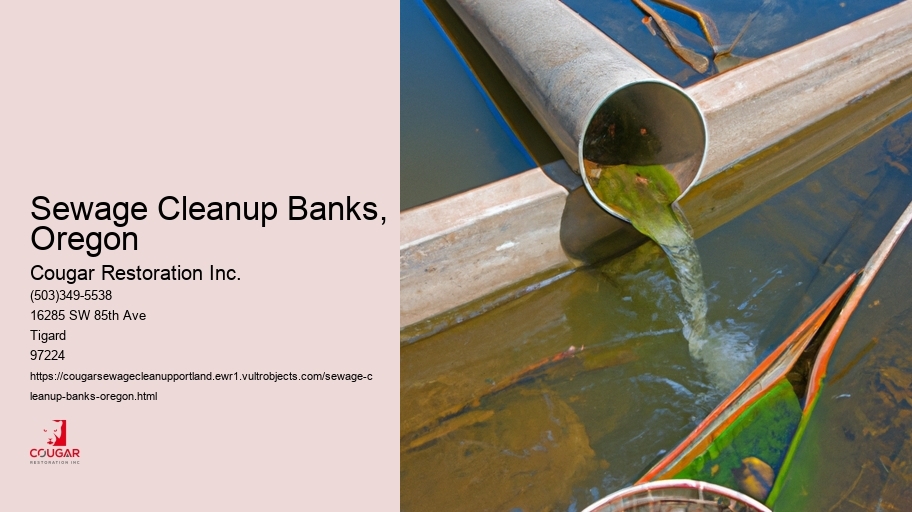 Sewage Cleanup Banks, Oregon