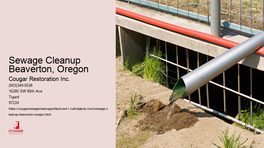 Sewage Cleanup Beaverton, Oregon