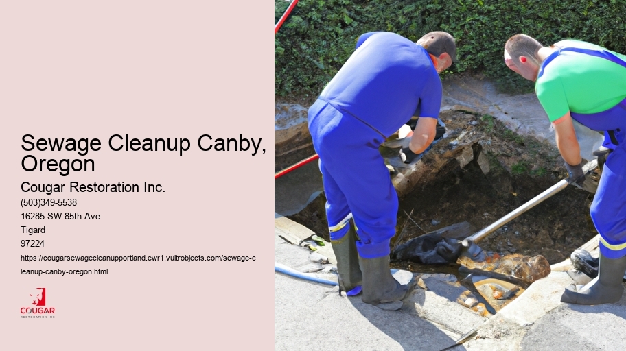 Sewage Cleanup Canby, Oregon