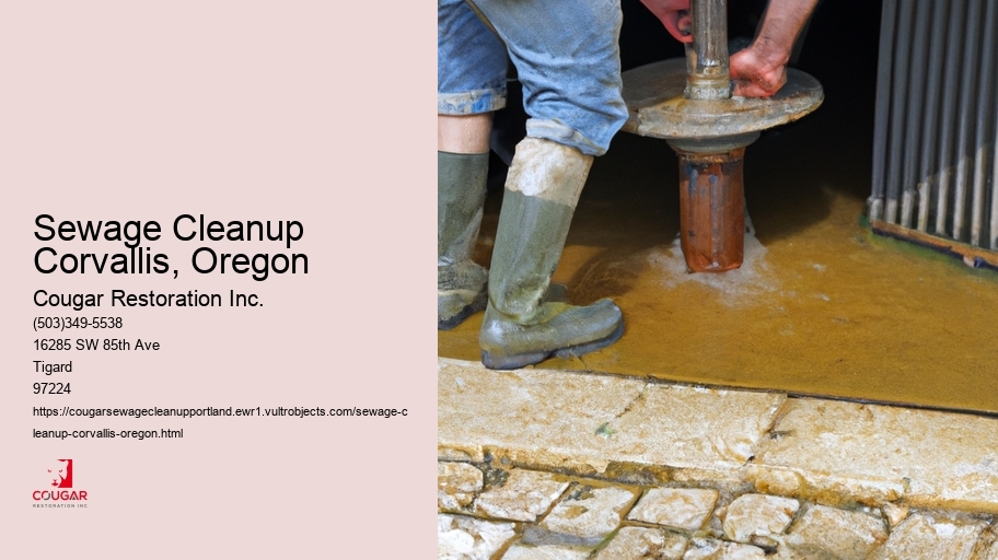Sewage Cleanup Corvallis, Oregon