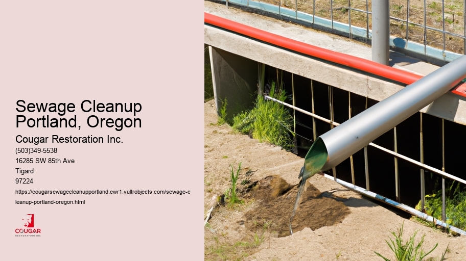 Sewage Cleanup Portland, Oregon