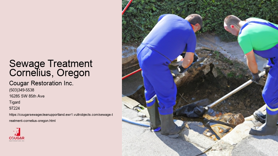 Sewage Treatment Cornelius, Oregon