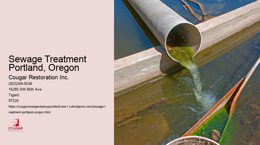 Sewage Treatment Portland, Oregon